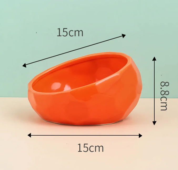 Tilted Ceramic Pet Bowl