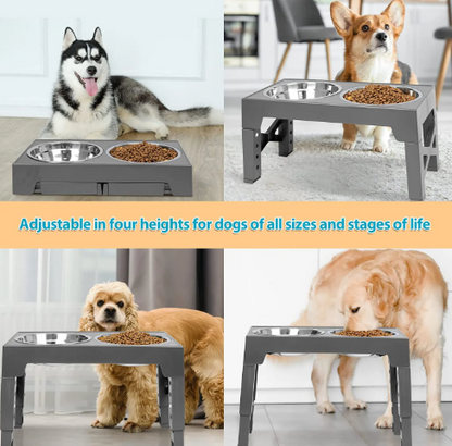 Height-Adjustable Slow Feeding Dog Dish