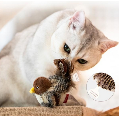 Active Hunt Cat Toy Duo