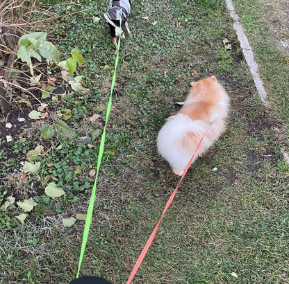 Twin Flexi-Light Dog Leash