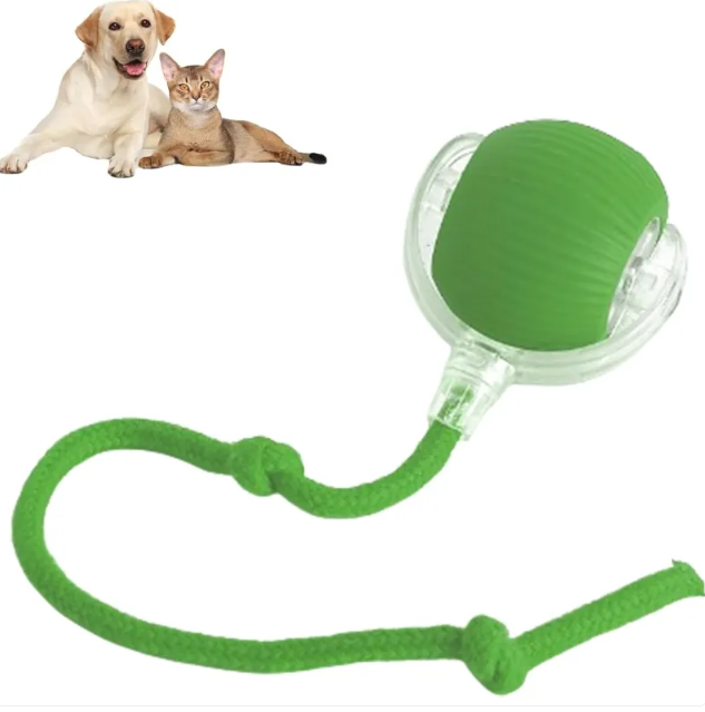 Motorised rolling cat toy