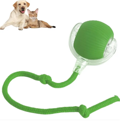 Motorised rolling cat toy
