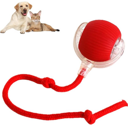 Interactive Pet Play Ball