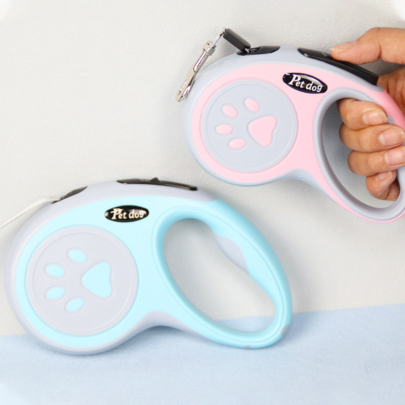 Dog leash in assorted colours