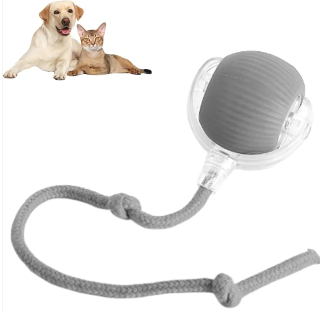 Interactive Pet Play Ball