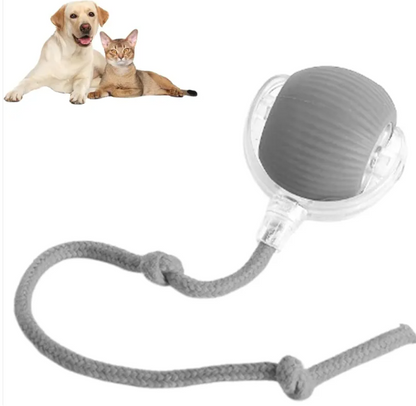 Interactive Pet Play Ball