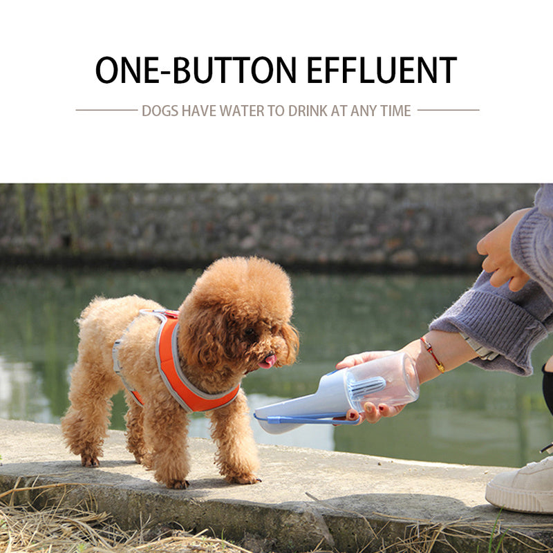 Portable pet water bottle with dispenser tray