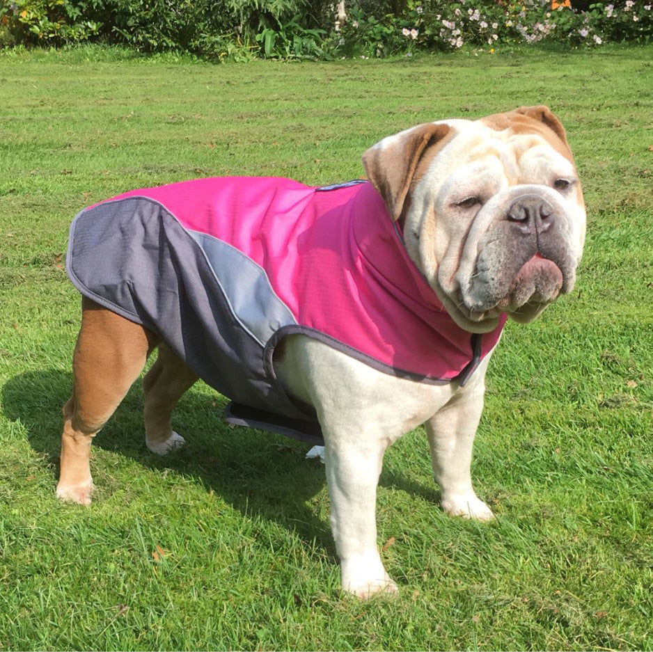 Waterproof Insulated Dog Coat — Maison Paw Home